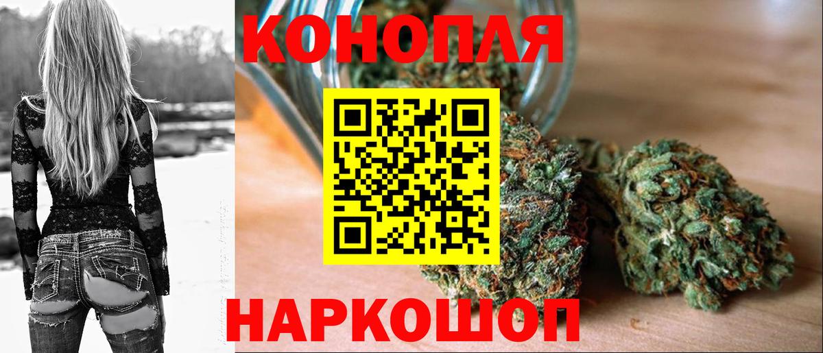 Шишки марихуана OG Kush Ноябрьск